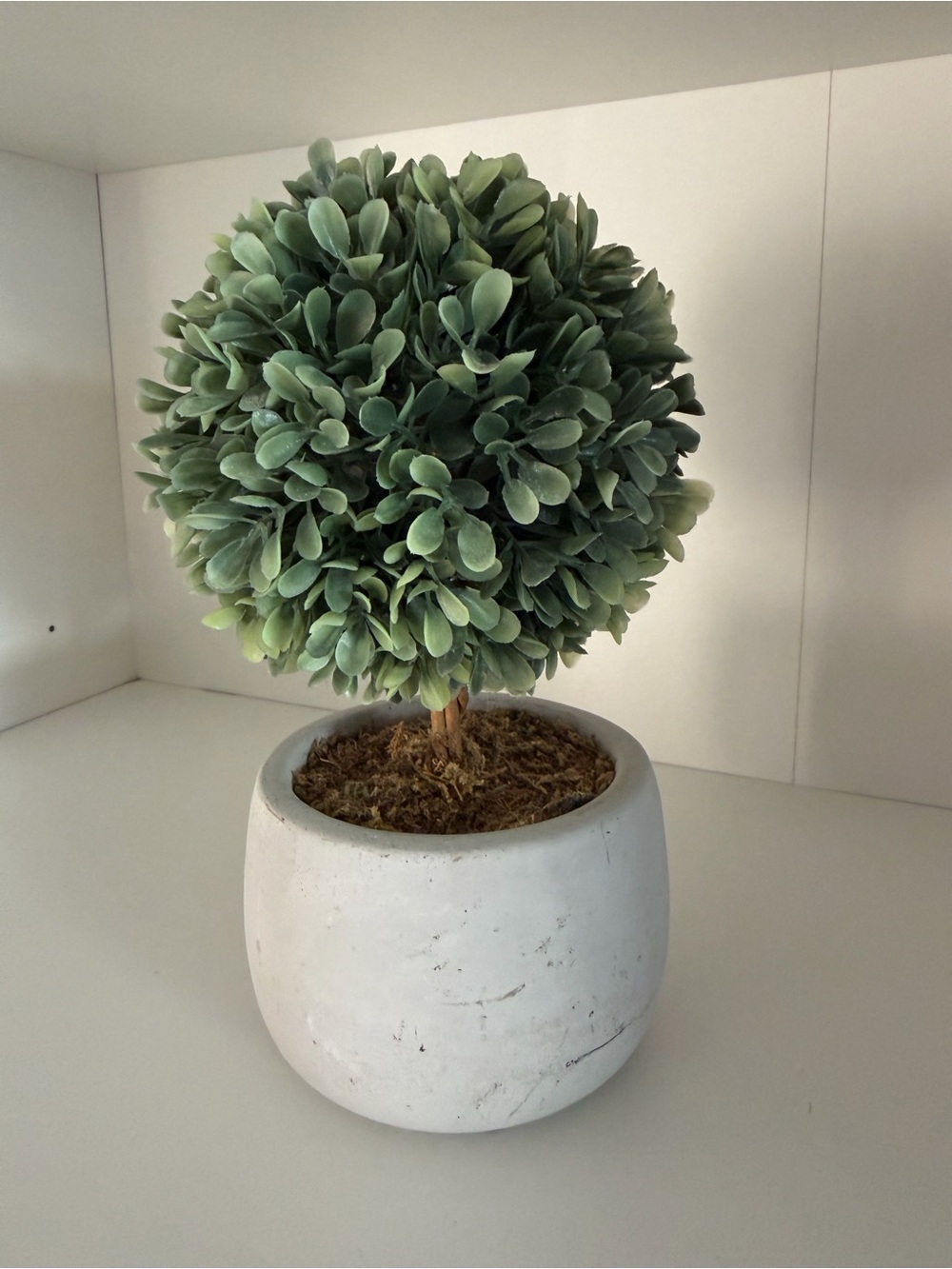 Artificial Topiary Ball in White Pot - Green